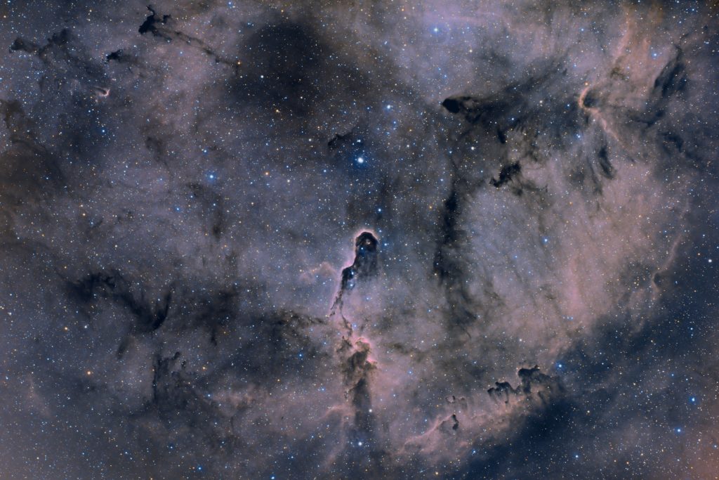 IC1396